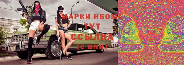 PSILOCYBIN Богородицк